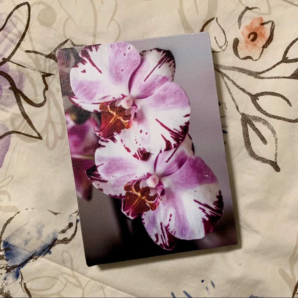 - 💜 Vibrant Purple Orchid Canvas Art - Small Floral Wall Art
